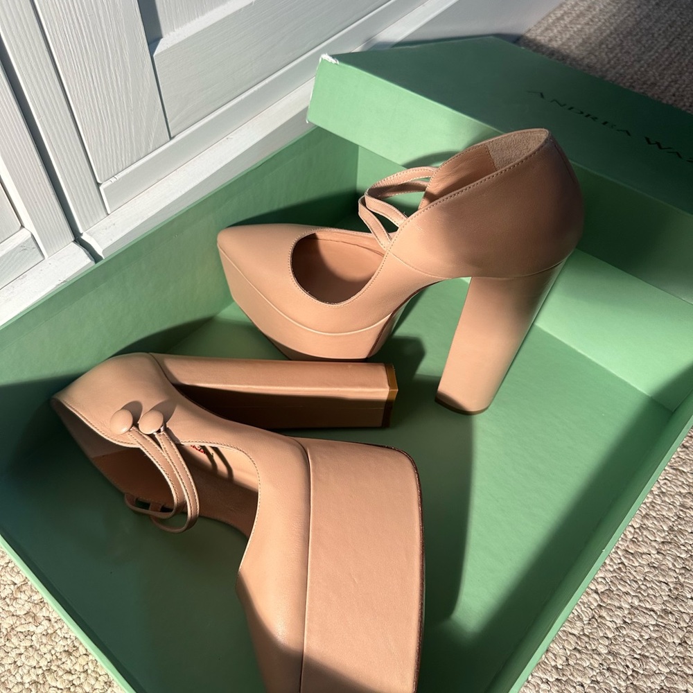 ANDREA FENZI Nude Platform Pumps - Picture 11 of 15